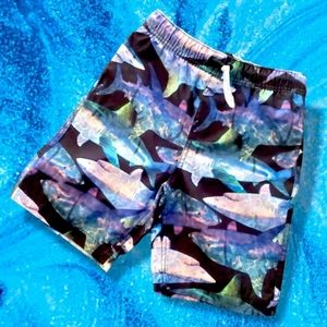 💥SALE💥Shark Print Swim Trunks